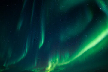 Obraz na płótnie Canvas aurora Borealis northern lights in Lapland