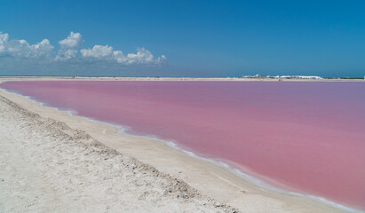 las coloradas a pink salt lake in Mexico with an amazing colour  - obrazy, fototapety, plakaty