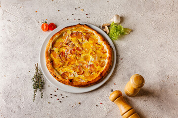 fast food, appetizing tasty pizza with ingredients on light background