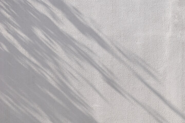 White wall covered with decorative plaster with shadow from a nearby tree.