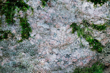 Texture of light stone with moss, natural background