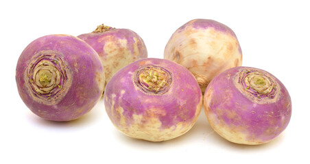 freshly harvested spring turnips (Brassica rapa) on a white background