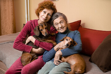 The theme is animal therapy, caring for elderly with dementia and Alzheimer's disease. Adult women spend time with elderly mother and pets dogs to bring joy and pleasure, affection for loved ones