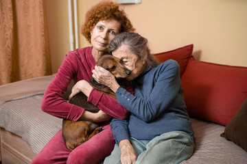 Elder woman and her adult daughter together with two dachshund dogs on sofa indoors spend time...