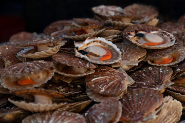 Fresh Scallops on a seafood market at Dieppe France
