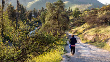Obraz premium walking in Quimey Park, San Bernardo, Chile.
