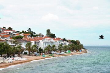 Princes' islands, houses, bird and sea. Turkey.