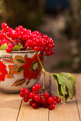 Red viburnum berries in a cup, on a wooden background. Useful medicinal berries.