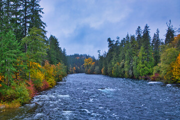 Salmon River, Campbell River, in autumn colours, Vancouver Island, British Colombia, Bc