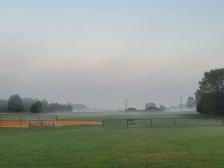 Obraz premium morning in the park