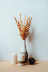 Dry pampas grass in vase, pine cone and candles on a table against white wall. Still life. Boho...