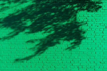 Brick wall painted with green paint (emerald shade) with shadow from a nearby tree. The color of St. Patrick's Day celebrated annually on March 17.