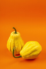 Ripe yellow pumpkins isolated on bright orange background