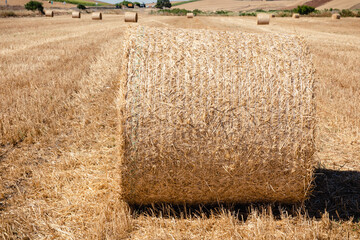 Campo cosechado con fardos de paja de cerca. con espacio de copia.