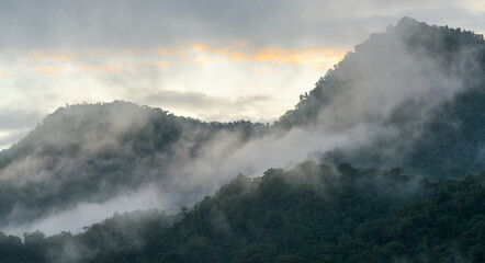 Cloud forest mist at sunrise panorama, Mindo cloud forest near Quito, Ecuador.