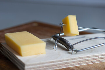 A mousetrap with a piece of cheese in the form of bait. Free cheese as a catch, followed by a...