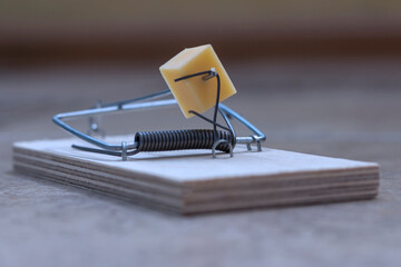 A mousetrap with a piece of cheese in the form of bait. Free cheese as a catch, followed by a...
