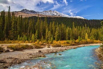 Autumn In The BC Mountains