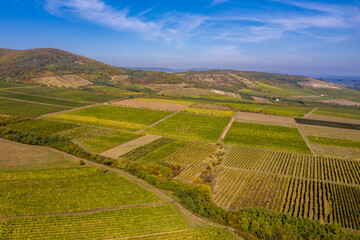 Fototapeta na wymiar Hungary, Tokaj landscape with vineyard. Tokaj Wine Region Historic Cultural Landscape is UNESCO World Heritage Site.