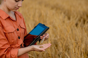Agronomist farmer with digital tablet computer in wheat field using apps and internet. Smart farming using modern technologies in agriculture.