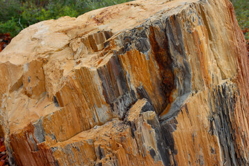 Petrified Wood tree stump, Wyoming