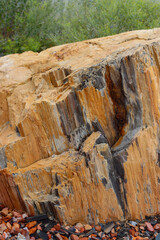 Petrified Wood tree stump, Wyoming