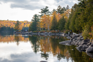 A rocky lakeshore leads to a quaint cabin. The trees have reached peak foliage in this scene.  - 463936669