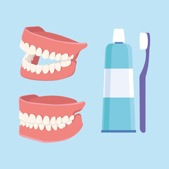 Open, closed human jaws, toothpaste and toothbrush isolated on white background. . Dental model of human jaws. Healthy oral hygiene. Trendy graphic for stomatology, dentist. Vector illustration