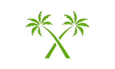 Fototapeta premium palm