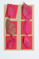 autumn leaves arranged on red paper squares