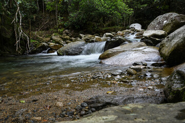 stream in the forest