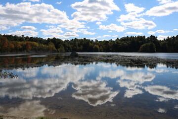 freshwater pond blue sky clouds reflection