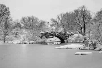 Cercles muraux Pont de Gapstow Gapstow Bridge dans Central Park, tempête de neige