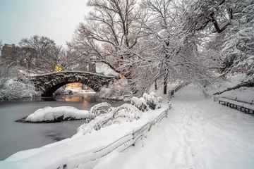 Photo sur Plexiglas Pont de Gapstow Gapstow Bridge dans Central Park, tempête de neige