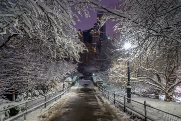 Deurstickers Gapstow Brug Gapstow Bridge in Central Park, sneeuwstorm
