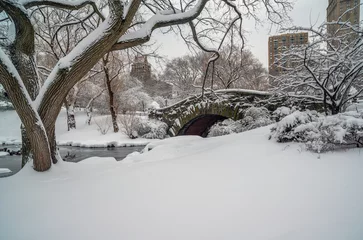 Deurstickers Gapstow Brug Gapstow Bridge in Central Park, sneeuwstorm