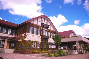 赤く色づいたコキア