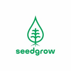 Sprout Seed Grow logo,water drop vector