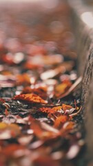 Processed with VSCO with l6 preset