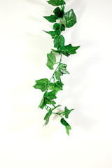 Artificial Indoor Ivy Vine