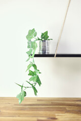 Artificial Indoor Ivy Vine