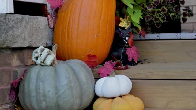 Spooky Halloween decorations Halloween fun close up pumpkins,rats,skulls.