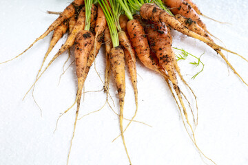 carrots 