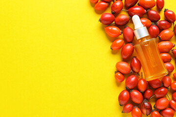 Bottle of essential oil and rose hip berries on yellow background, closeup