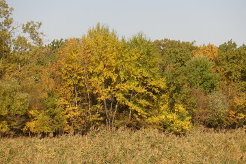 The beauty of the majestic Caucasus:photo russia in autumn