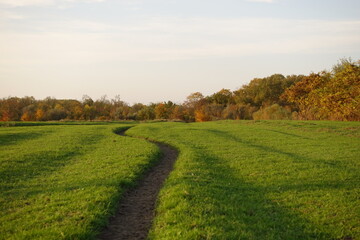 Bonfire on the shore pictures, stock photos of Bonfire on.