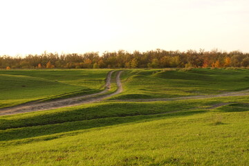 Bonfire on the shore pictures, stock photos of Bonfire on.