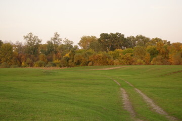 Bonfire on the shore pictures, stock photos of Bonfire on.