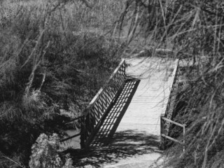 fotografia puente escala de grises