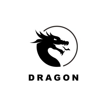Dragon illustration in circle